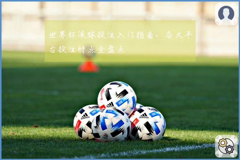 世界杯滚球投注入门指南，各大平台投注特点全盘点