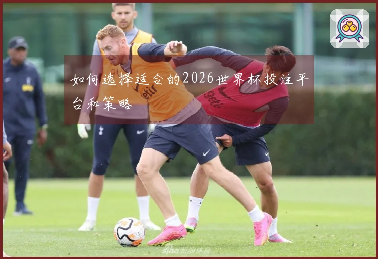 如何选择适合的2026世界杯投注平台和策略