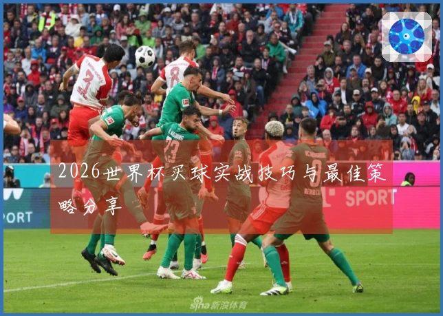 2026世界杯买球实战技巧与最佳策略分享