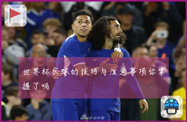 世界杯买球的技巧与注意事项你掌握了吗