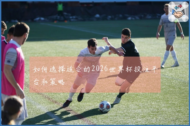 如何选择适合的2026世界杯投注平台和策略
