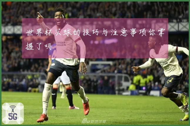 世界杯买球的技巧与注意事项你掌握了吗