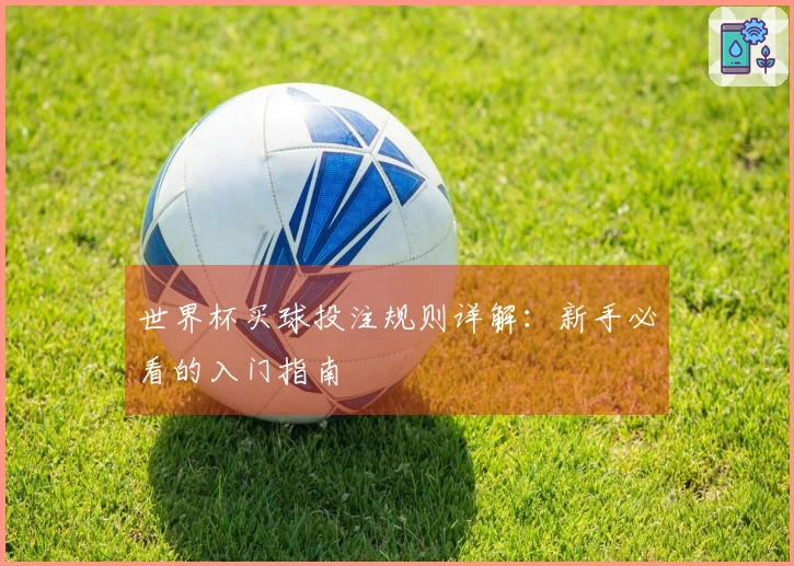 世界杯买球投注规则详解：新手必看的入门指南